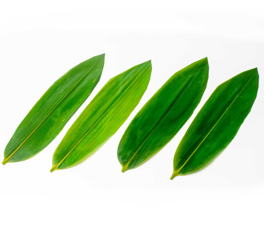 Feuilles de bambou emballées sous vide 30,5 cm L x 8,9 cm l