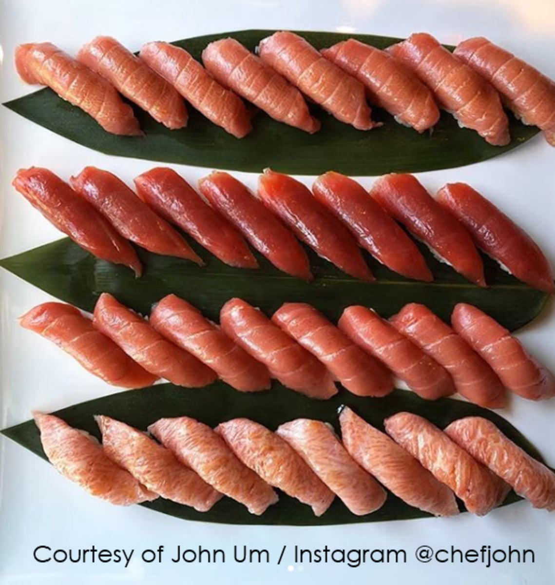 KORIN Vacuum-Packed Bamboo Leaves 12"L x 3.5"W