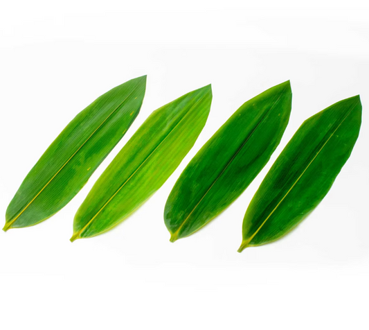 KORIN Vacuum-Packed Bamboo Leaves 12"L x 3.5"W
