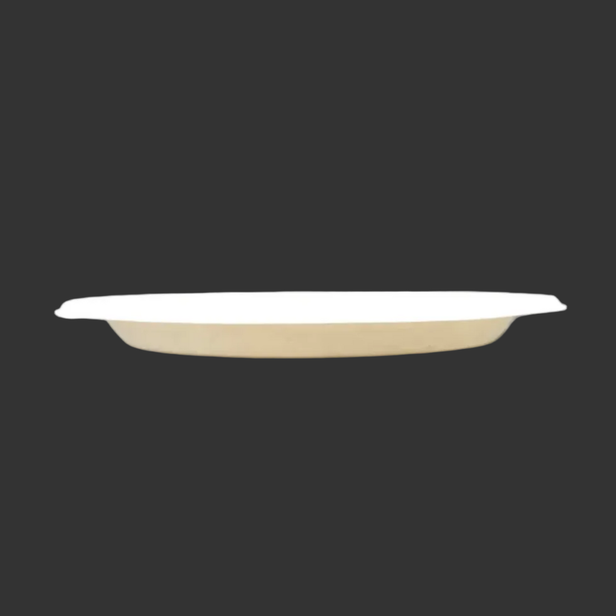 10" 1 Compartment Round Plate