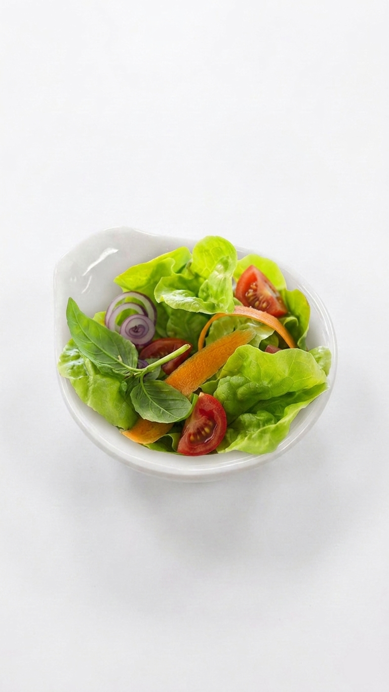 Melamine Small Bowl With Handle (Styles A, B, C)