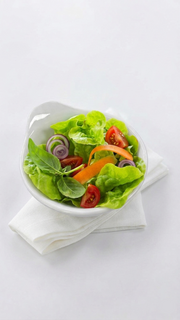 Melamine Small Bowl With Handle (Styles A, B, C)