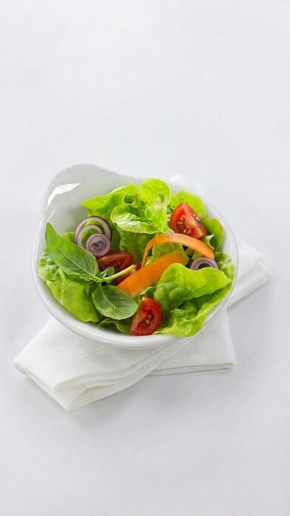Melamine Small Bowl With Handle (Styles A, B, C)