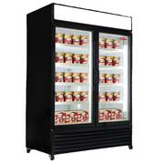 New Air 54'' Glass Door Freezer Merchandiser