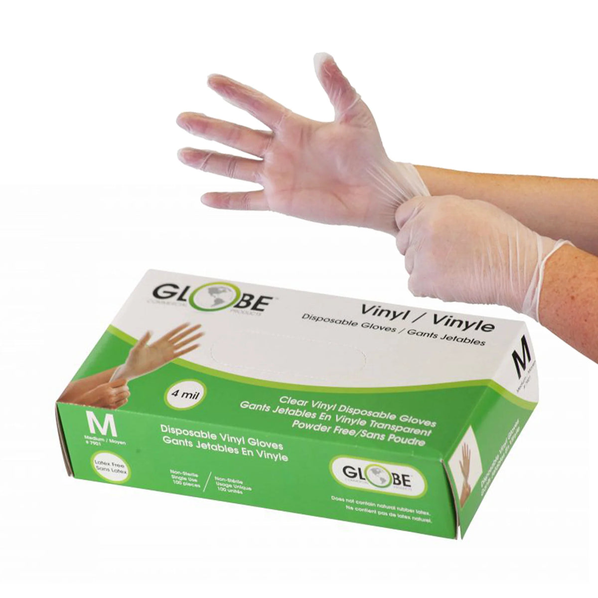 Globe 4 Mil Vinyl Gloves Powder-Free - Medium / Clear